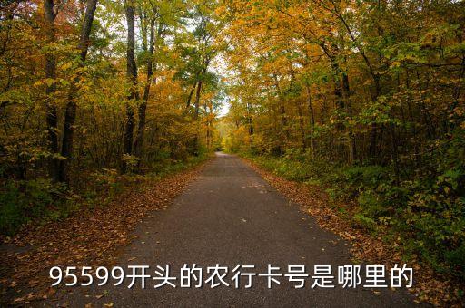 農(nóng)業(yè)銀行95599開頭的是什么卡，95599開頭是什么銀行的卡