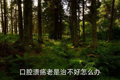 云南咖啡豆在什么時(shí)候采摘，云南小?？Х仍趺闯砸髥?/></a></span><span id=