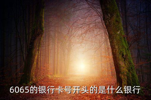 6055開頭是什么銀行，6055開頭是什么銀行的 急求
