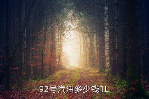 92號(hào)汽油什么價(jià)，92汽油價(jià)格