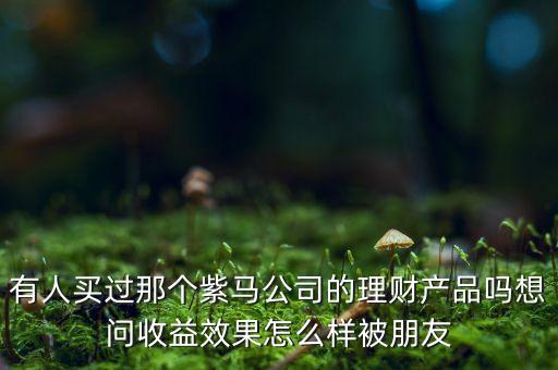 紫馬財(cái)富什么時(shí)間，有人買過那個(gè)紫馬公司的理財(cái)產(chǎn)品嗎想問收益效果怎么樣被朋友