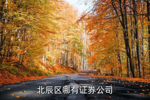 北辰區(qū)有什么證券工司，昆明北市區(qū)北辰小區(qū)或和諧世紀(jì)那邊有沒有證券交易所