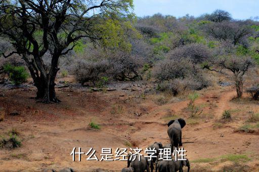 什么是市場理性，市場回歸理性是什么意思