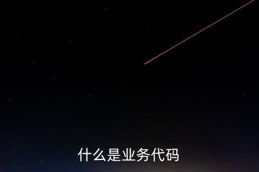 工商業(yè)務(wù)代碼是什么意思，businesscode是啥意思