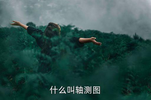 什么叫合力貸，什么叫格蘭肉