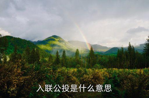 返聯(lián)公投是什么意思是什么意思，公投是什么意思