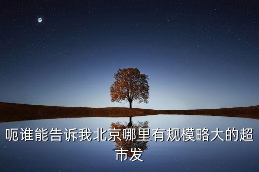 北京超市發(fā)有什么部門，呃誰能告訴我北京哪里有規(guī)模略大的超市發(fā)