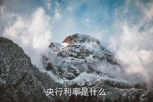 中央銀行的利率是什么，在我國中央銀行的基準(zhǔn)利率是指