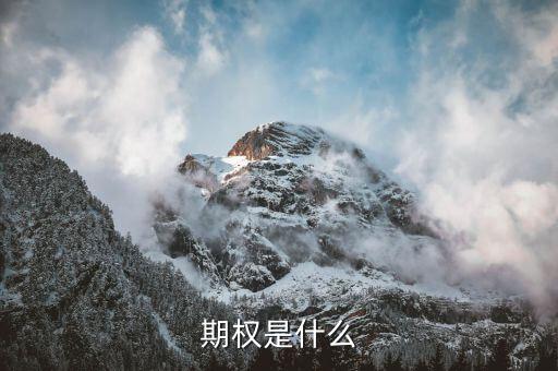 授予期權(quán)是什么意思，無(wú)償授予股票期權(quán)是什么意思