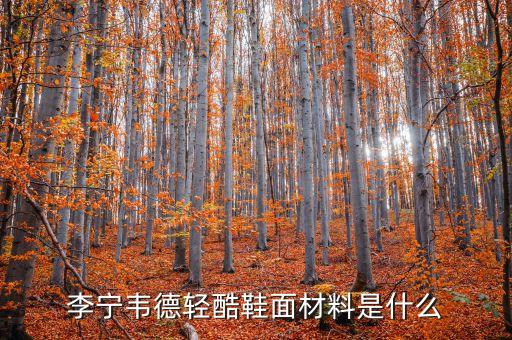 主角鋁材什么價格，沉默是金 議論文 求材料