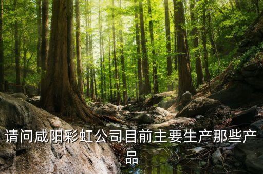 咸陽中電彩虹集團(tuán)什么企業(yè)，咸陽彩虹集團(tuán)