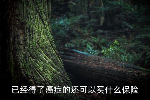 癌癥病人能買什么險(xiǎn)，癌癥患者能參加什么保險(xiǎn)