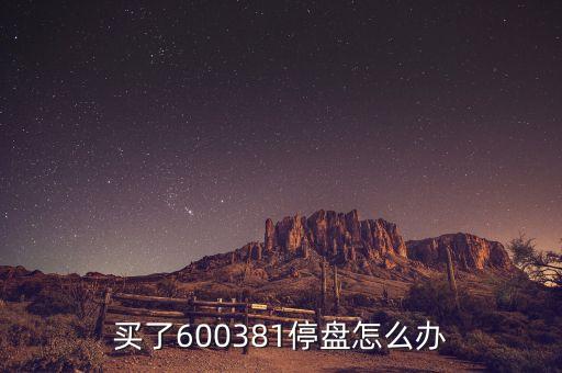 600381為什么被st，買了600381停盤怎么辦