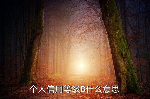 征信報告b級什么意思，中國人民銀行信用卡信用報告B級綜和評分837分啥意思