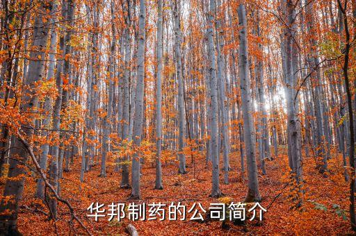 華邦制藥有什么產(chǎn)品，華邦制藥的企業(yè)理念