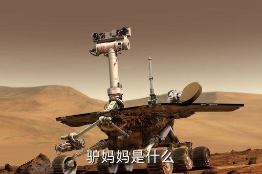 驢媽媽是什么模式，驢媽媽是什么