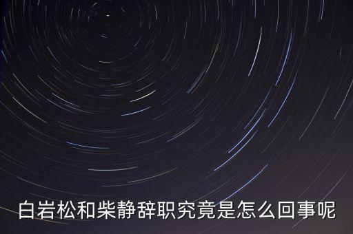 柴靜為什么辭職，白巖松和柴靜辭職究竟是怎么回事呢