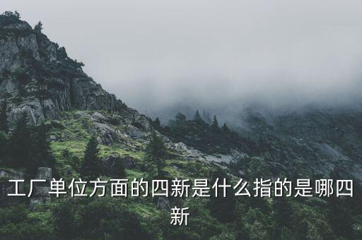 四新企業(yè)是什么，工廠單位方面的四新是什么指的是哪四新