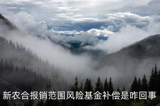 什么是政府風(fēng)險(xiǎn)補(bǔ)償基金，政府風(fēng)險(xiǎn)補(bǔ)償基金屬于哪個(gè)企業(yè)會(huì)計(jì)科目