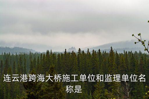 中交二航局什么平大橋，泰州長江公路大橋施工單位是