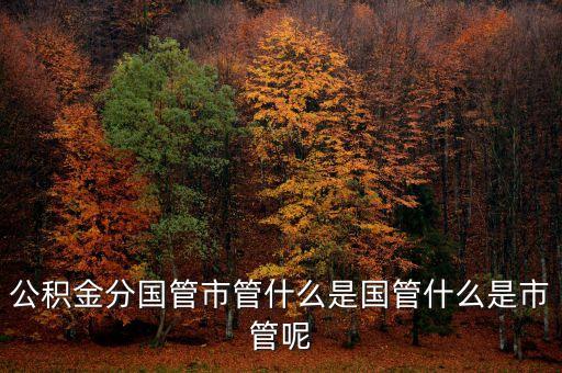 什么是國(guó)管公積金，公積金分國(guó)管市管什么是國(guó)管什么是市管呢