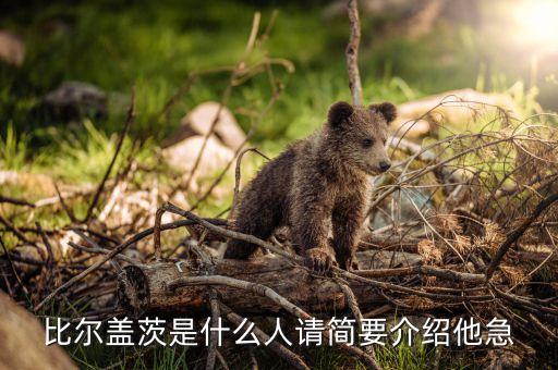 比爾蓋茨是個什么樣的人，比爾蓋茨是什么族裔的人