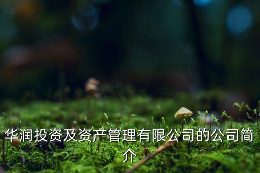 華潤投資及資產管理有限公司的公司簡介