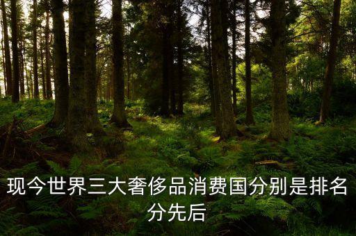 中國(guó)人在海外什么國(guó)家購(gòu)買(mǎi)奢侈品，現(xiàn)今世界三大奢侈品消費(fèi)國(guó)分別是排名分先后