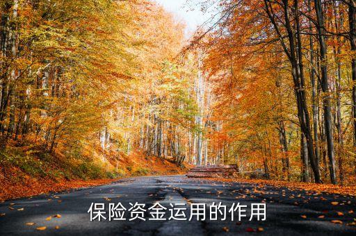 保險(xiǎn)資金運(yùn)用余額什么意思，保險(xiǎn)每年的資金運(yùn)用余額具體是什么