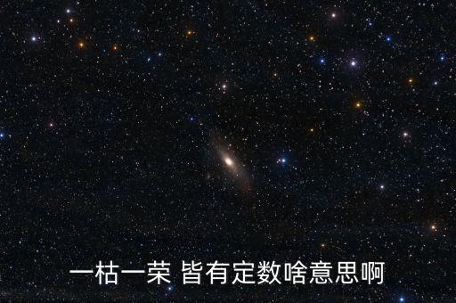 一枯一榮是什么意思，一枯一榮 皆有定數(shù)啥意思啊