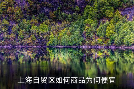 上海自貿(mào)區(qū)買什么便宜，上海購(gòu)物什么商品比較便宜