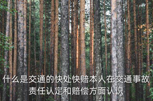 車(chē)險(xiǎn)快賠是什么，汽車(chē)快賠是什么意思