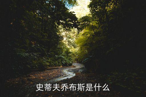 喬布斯是做什么的，喬布斯是什么