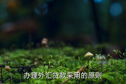 貸款三查指什么，銀行貸款三查不嚴(yán)能使貸款合同無(wú)效嗎