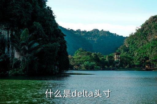 什么是聯(lián)邦頭寸，什么是delta頭寸
