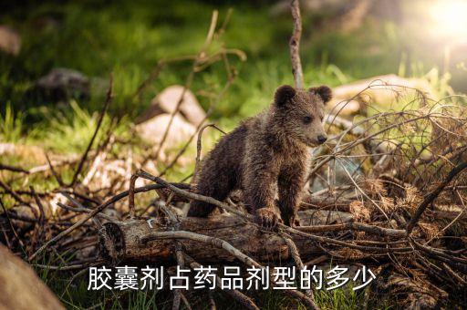 膠囊屬于什么劑型，膠囊劑占藥品劑型的多少