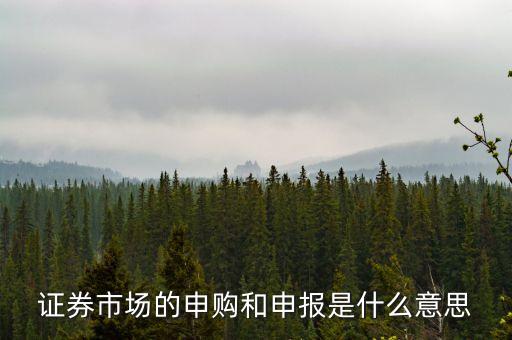 金融行業(yè)中的逐日申報(bào)是什么意思，外貿(mào)中到到銀行申報(bào)是什么意思申報(bào)什么呢哪位高人指點(diǎn)一下謝