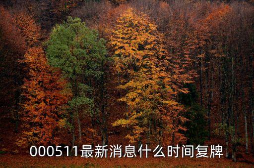 天舟文化什么時候復盤，又問天舟什么時候復盤