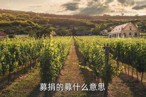 什么是募資，什么是融資 什么是募資  兩者的區(qū)別是什么