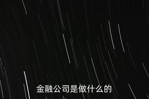 美國住宅金融公司是干什么的，房地美和房利美在美國算什么性質(zhì)的金融機(jī)構(gòu)