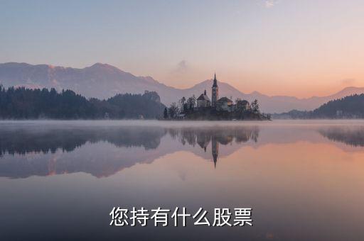 樊淑珍持有什么股，香港中央代理人持有哪些股票