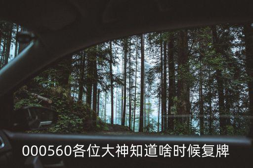 茂碩電源什么時間復牌，今天茂碩電源002660怎么停牌了什么時候開盤