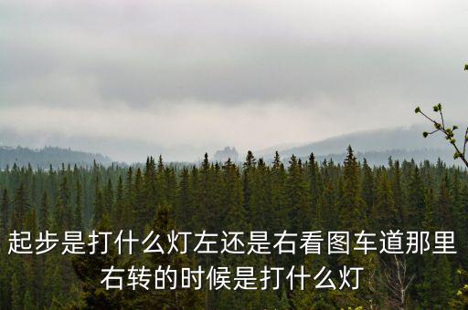 駕駛打右燈和左燈什么意思啊，起步是打什么燈左還是右看圖車(chē)道那里右轉(zhuǎn)的時(shí)候是打什么燈