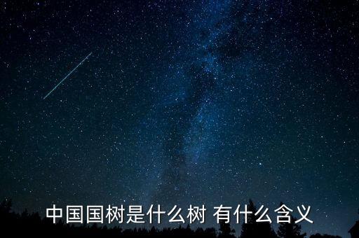 中國質(zhì)造是什么，中國國樹是什么樹 有什么含義
