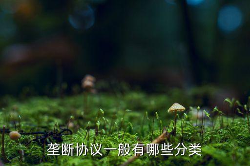 什么是縱向壟斷協(xié)議，壟斷協(xié)議一般有哪些分類