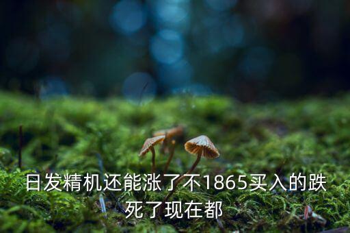 日發(fā)精機(jī)為什么一直跌，002009 怎么老跌呀
