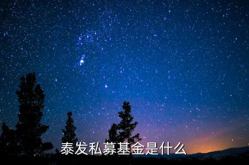 000263基金是什么基金，國金金騰通貨幣c是一種什么基金