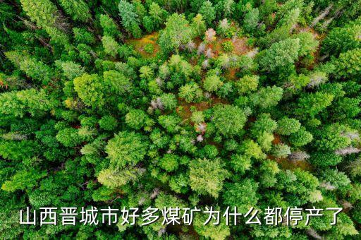 為什么礦山現(xiàn)在停產(chǎn)，為什么現(xiàn)在的礦業(yè)幾乎全部停產(chǎn)