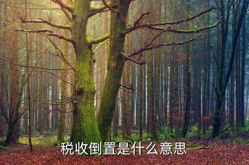 稅負倒置是什么意思，稅收倒置是什么意思