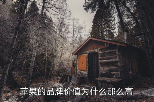 蘋果市值為什么那么高，蘋果的品牌價(jià)值為什么那么高